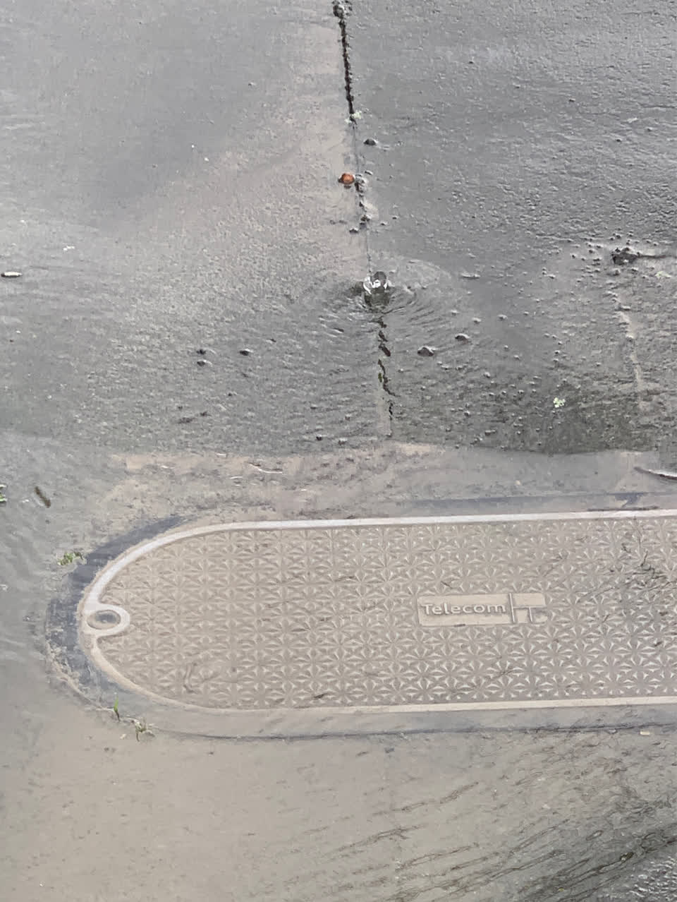 The photograph attached to this water supply report