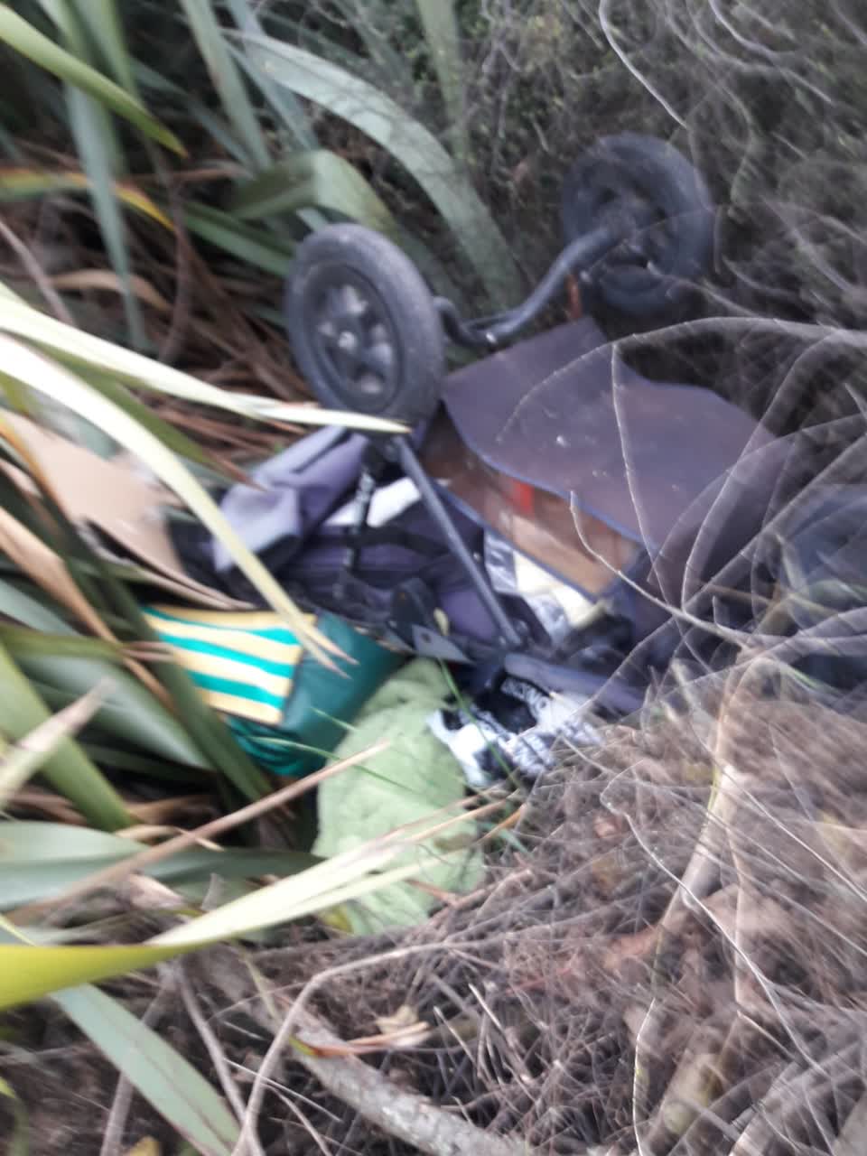 The photograph attached to this parks report