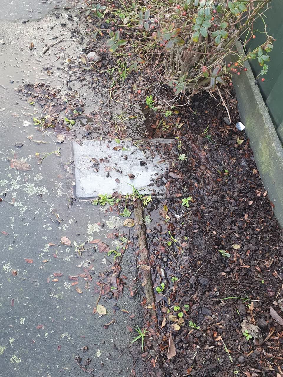 The photograph attached to this water supply report