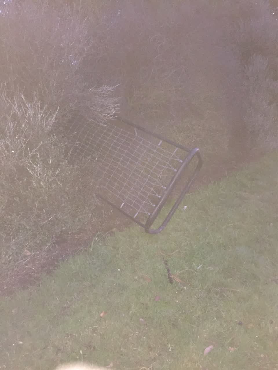 The photograph attached to this parks report