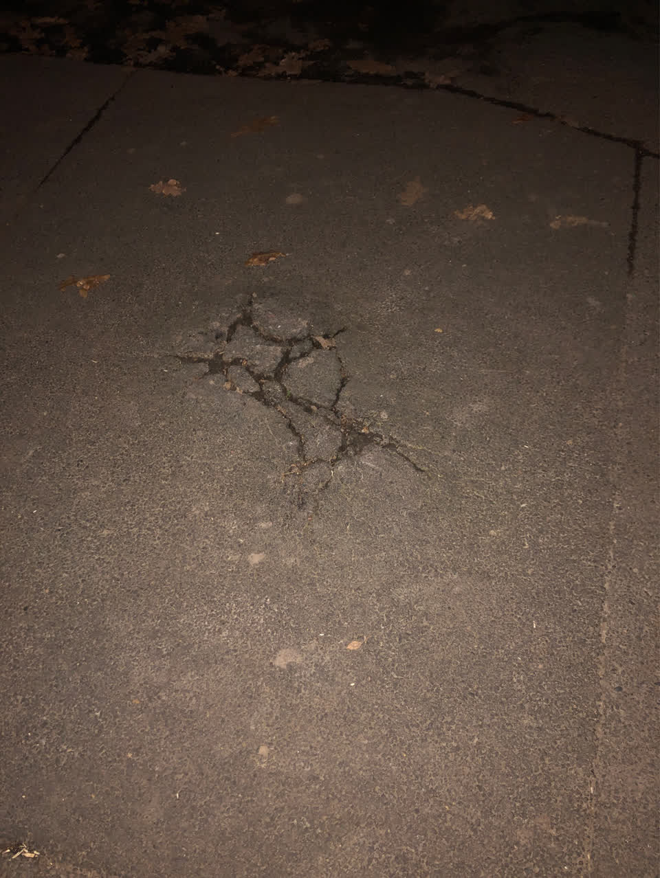 The photograph attached to this roading/streets report