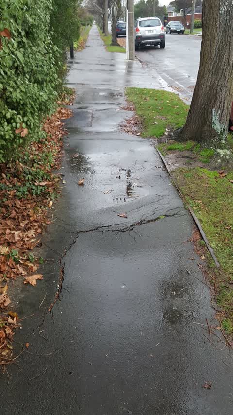 Roading/Streets, a report photo