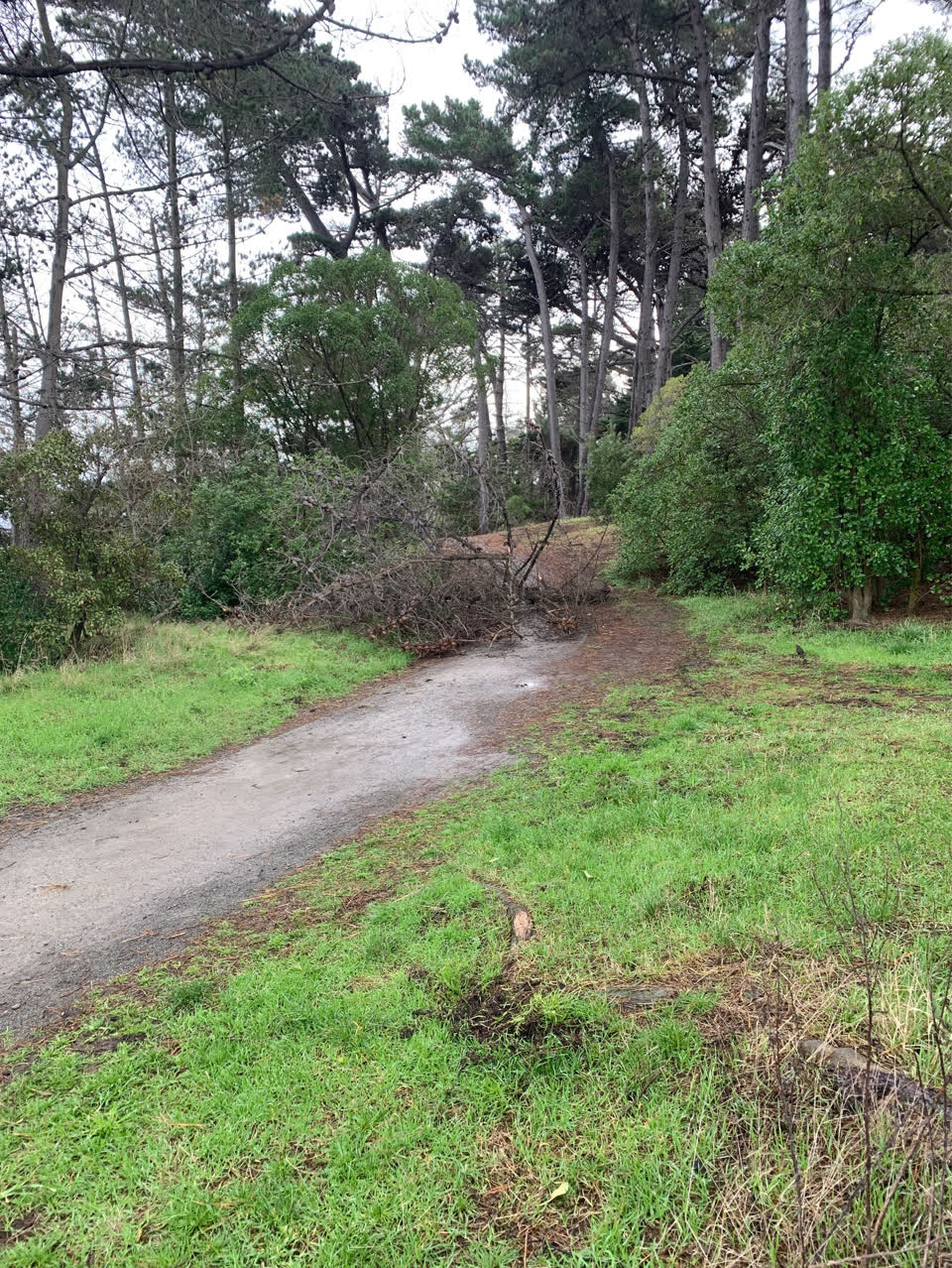 The photograph attached to this parks report