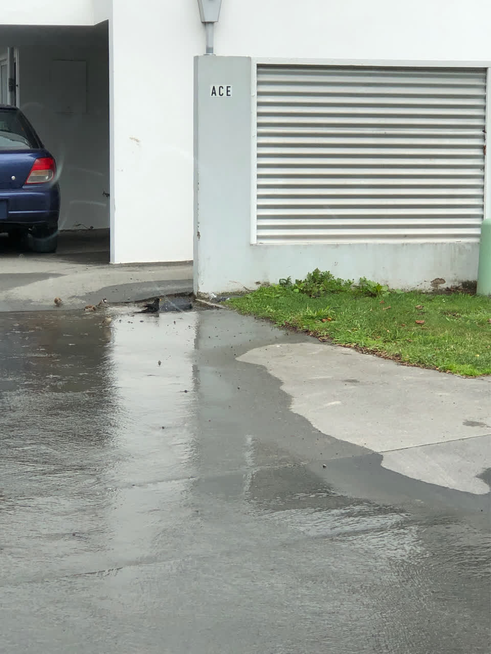 The photograph attached to this water supply report