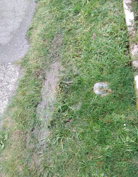 Water Supply, a report photo