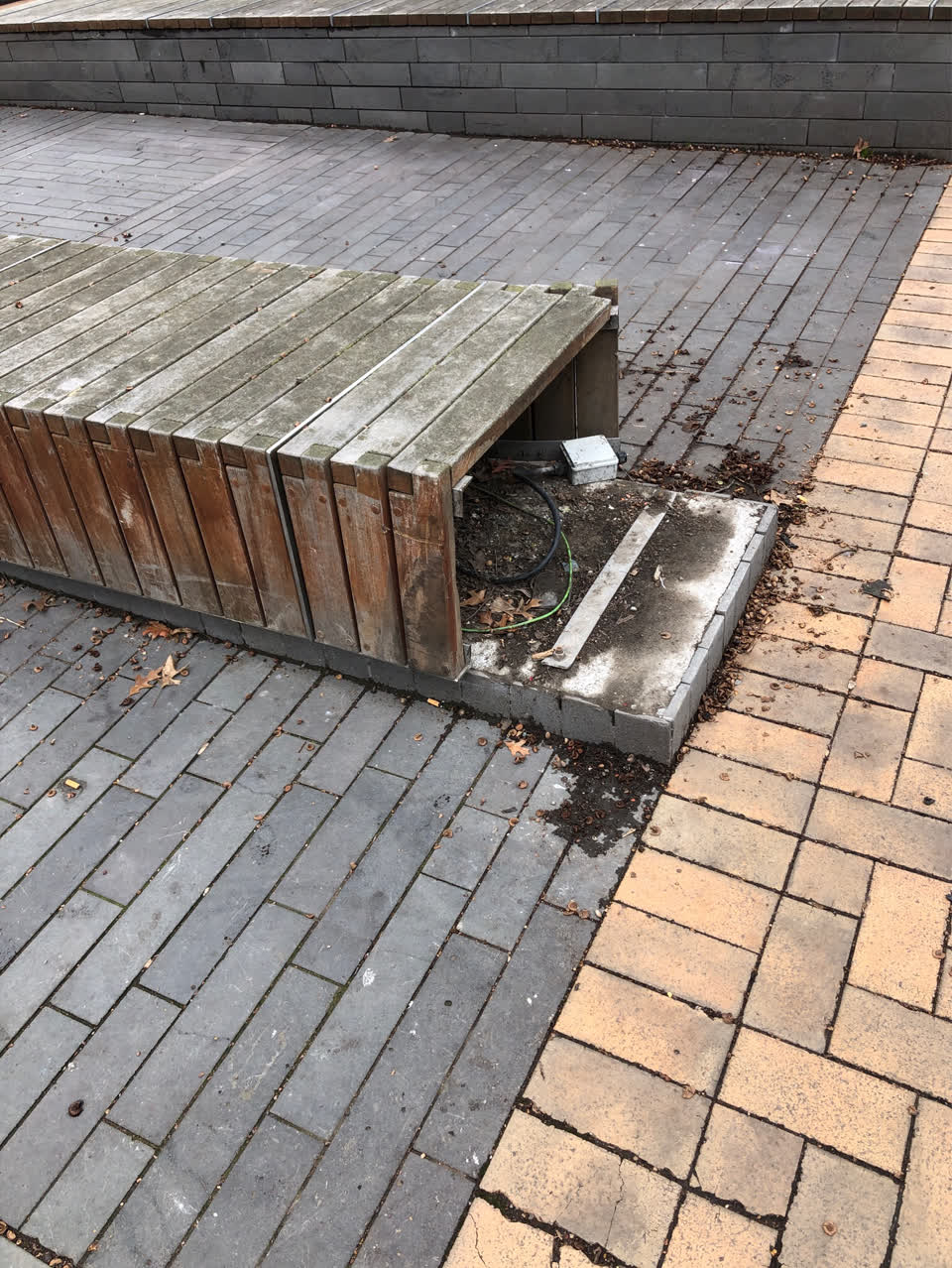 The photograph attached to this parks report