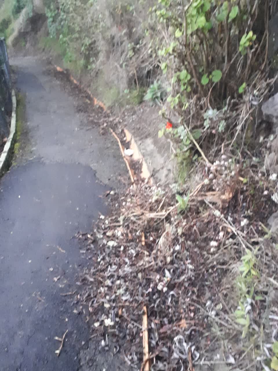 The photograph attached to this wastewater/stormwater report