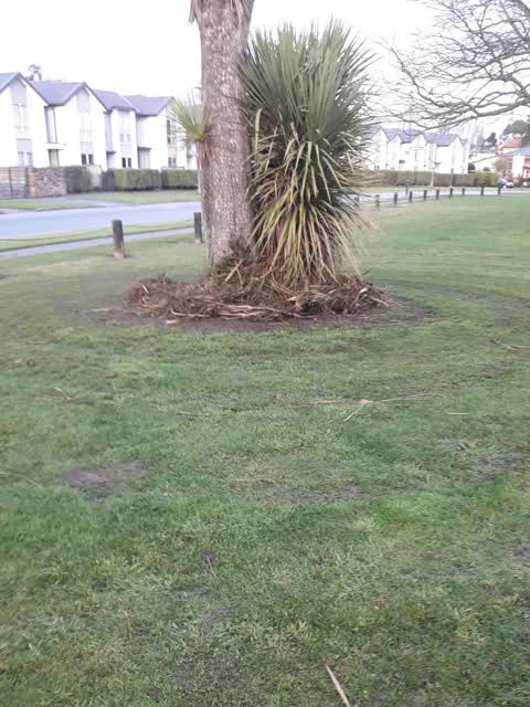 Parks, a report photo