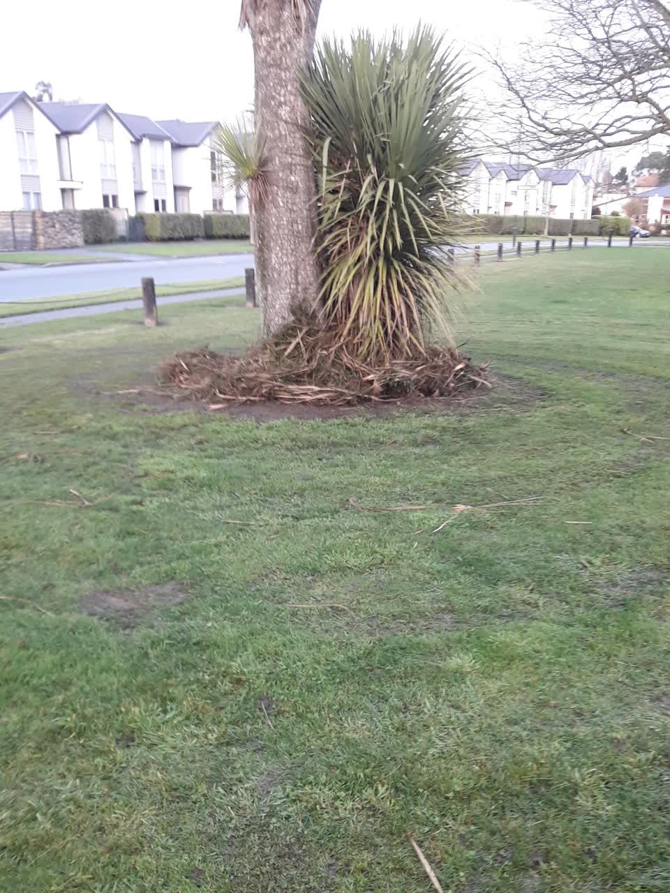 The photograph attached to this parks report