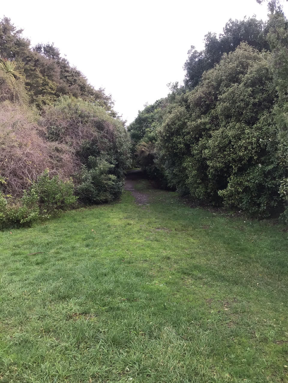 The photograph attached to this parks report