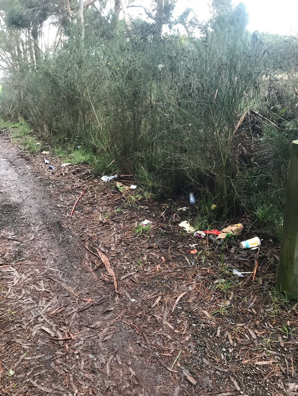 The photograph attached to this rubbish/recycling report