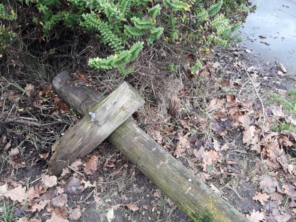 The photograph attached to this parks report