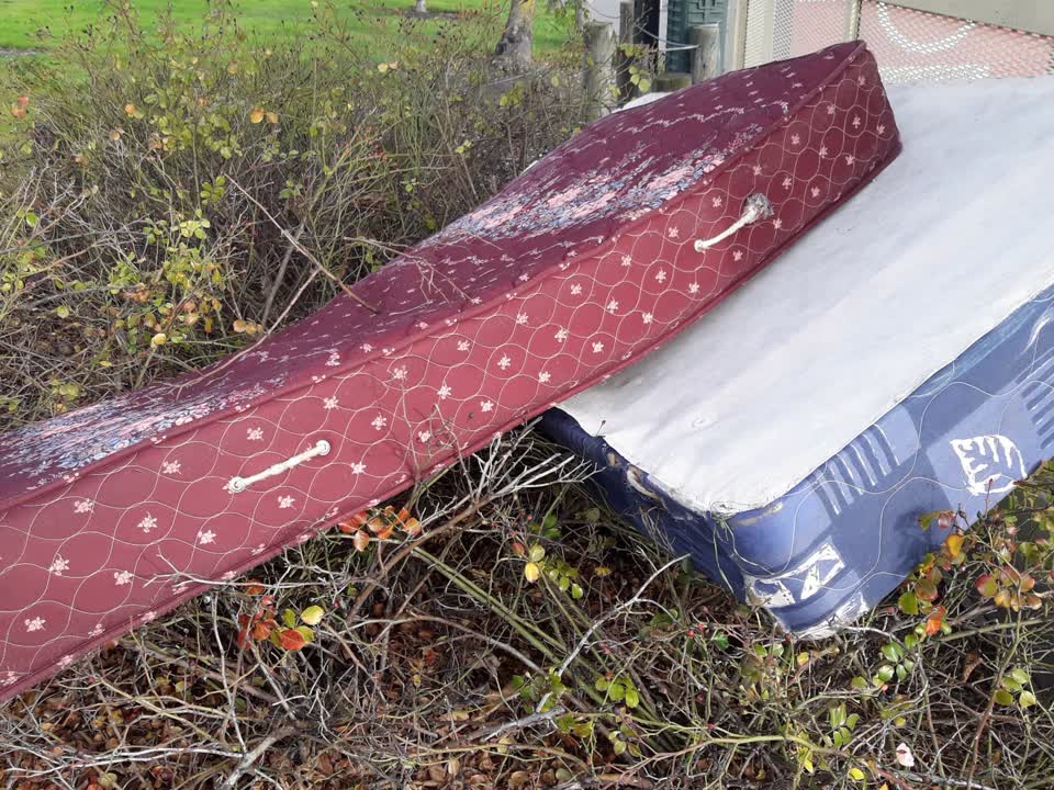 The photograph attached to this rubbish/recycling report