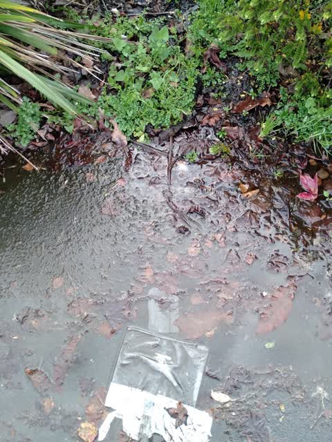 Wastewater/Stormwater, a report photo
