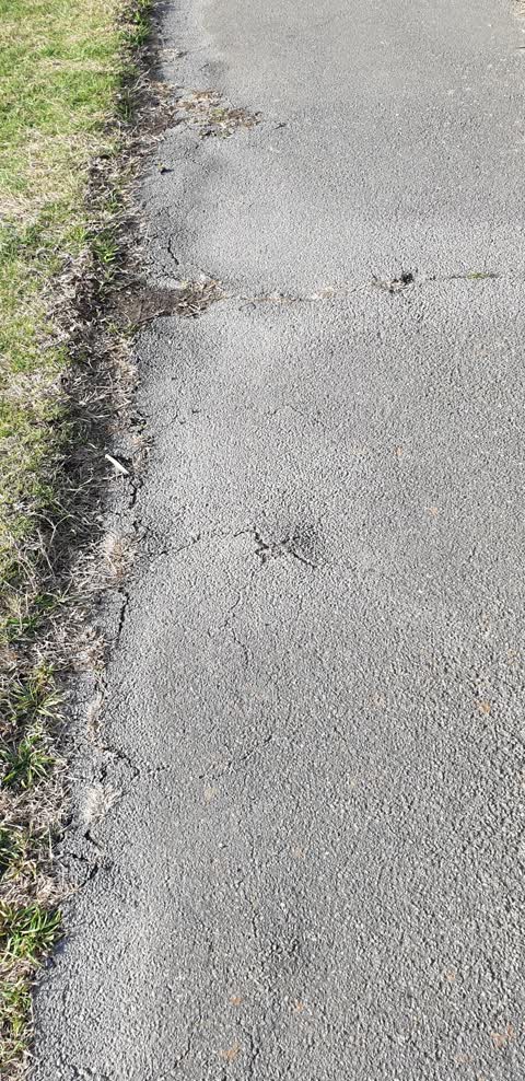 Roading/Streets, a report photo