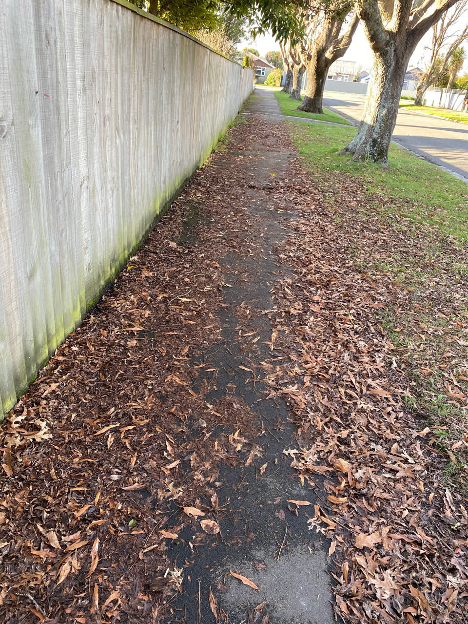 The photograph attached to this roading/streets report