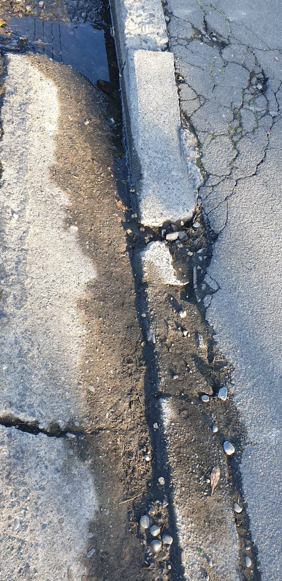 The photograph attached to this roading/streets report