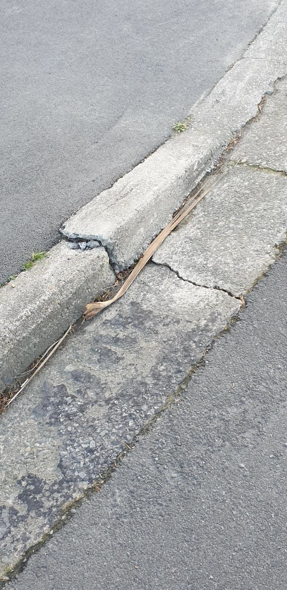The photograph attached to this roading/streets report
