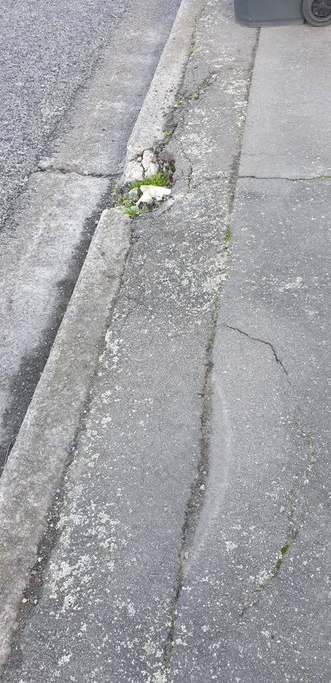 Roading/Streets, a report photo