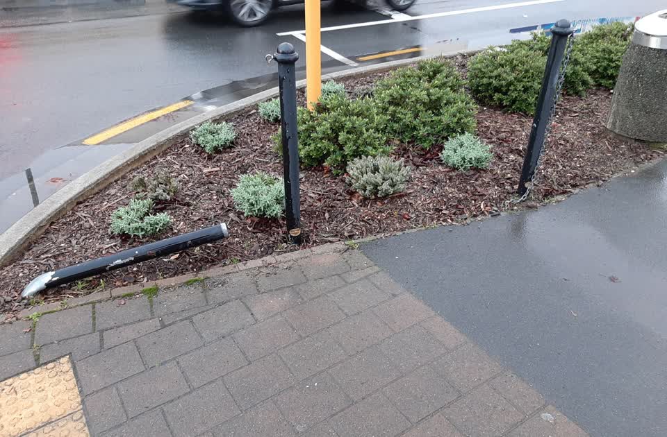 The photograph attached to this parks report