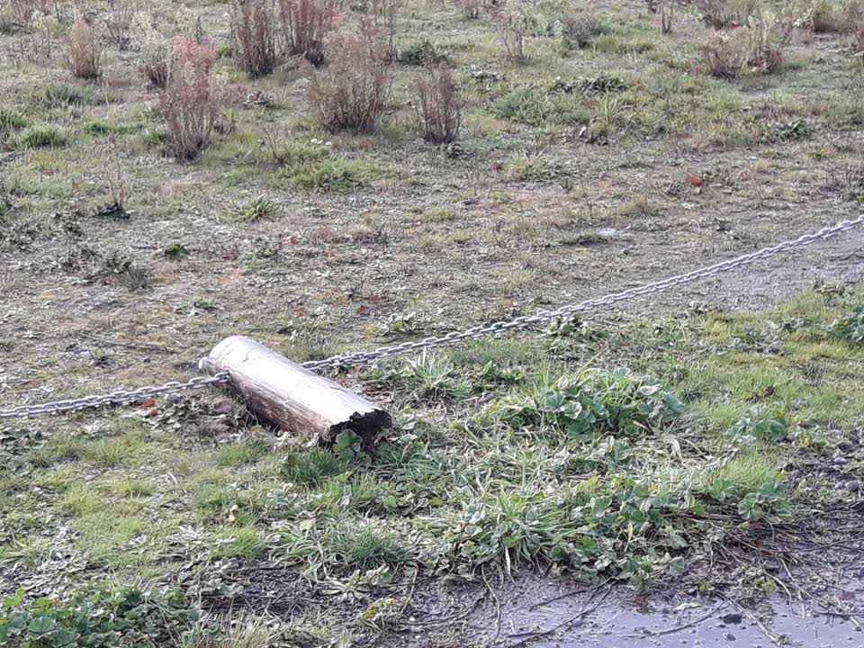 The photograph attached to this parks report