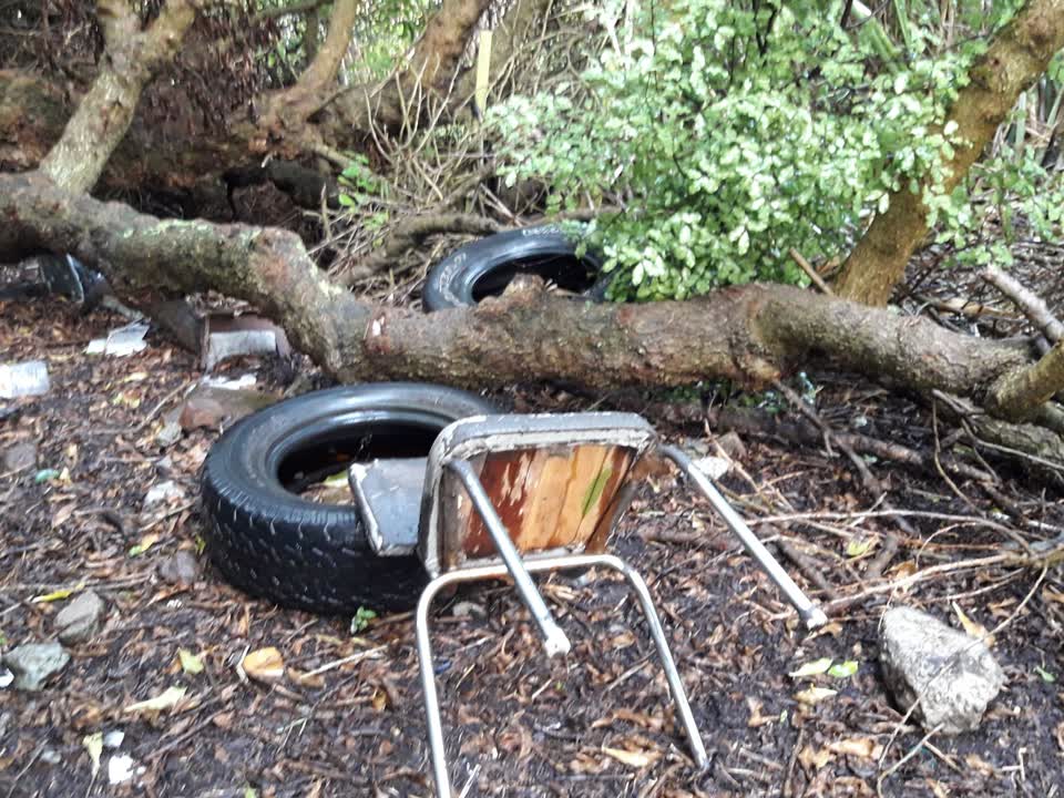 The photograph attached to this rubbish/recycling report