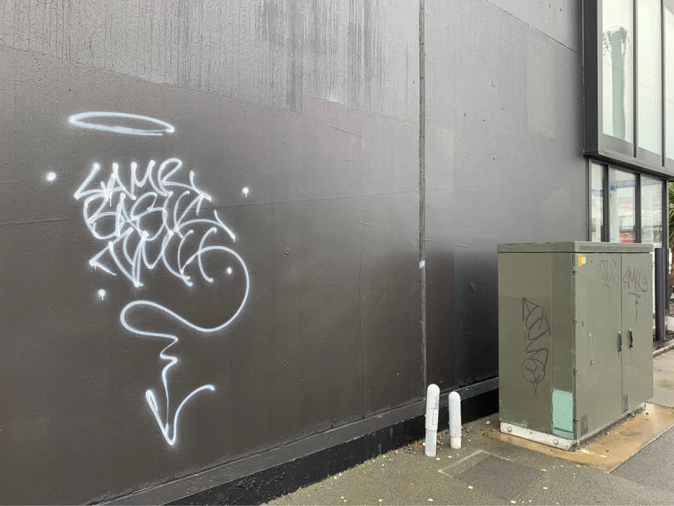 The photograph attached to this graffiti report