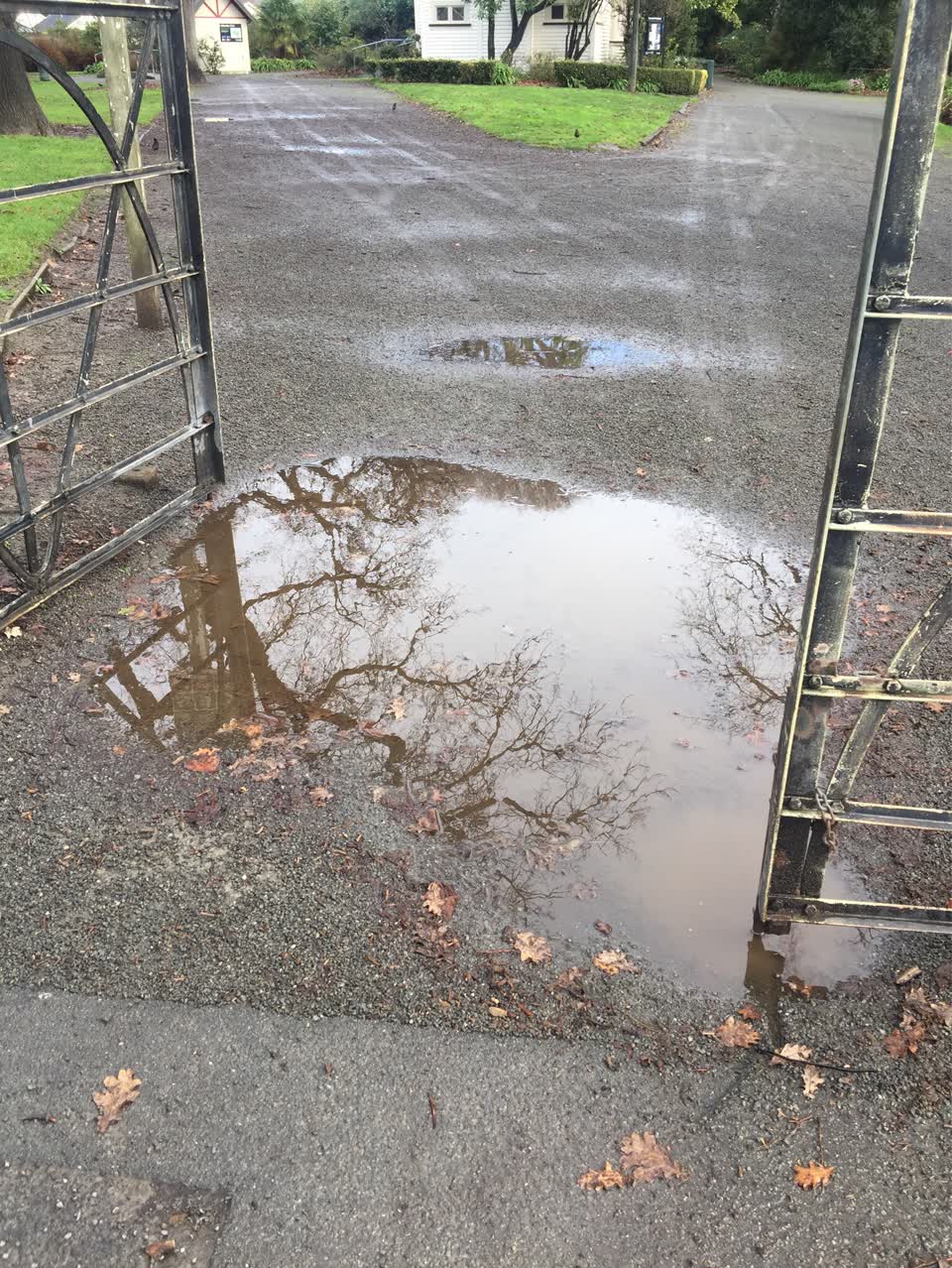 The photograph attached to this parks report