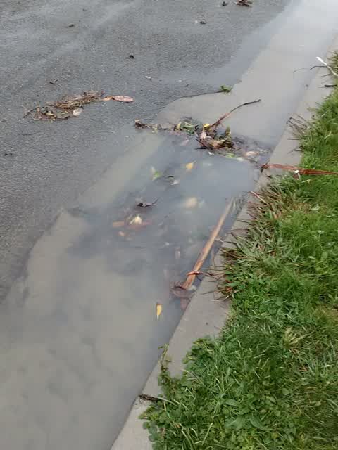 Wastewater/Stormwater, a report photo