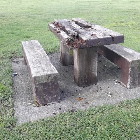 Parks, a report photo