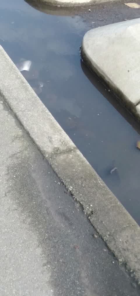 Wastewater/Stormwater, a report photo