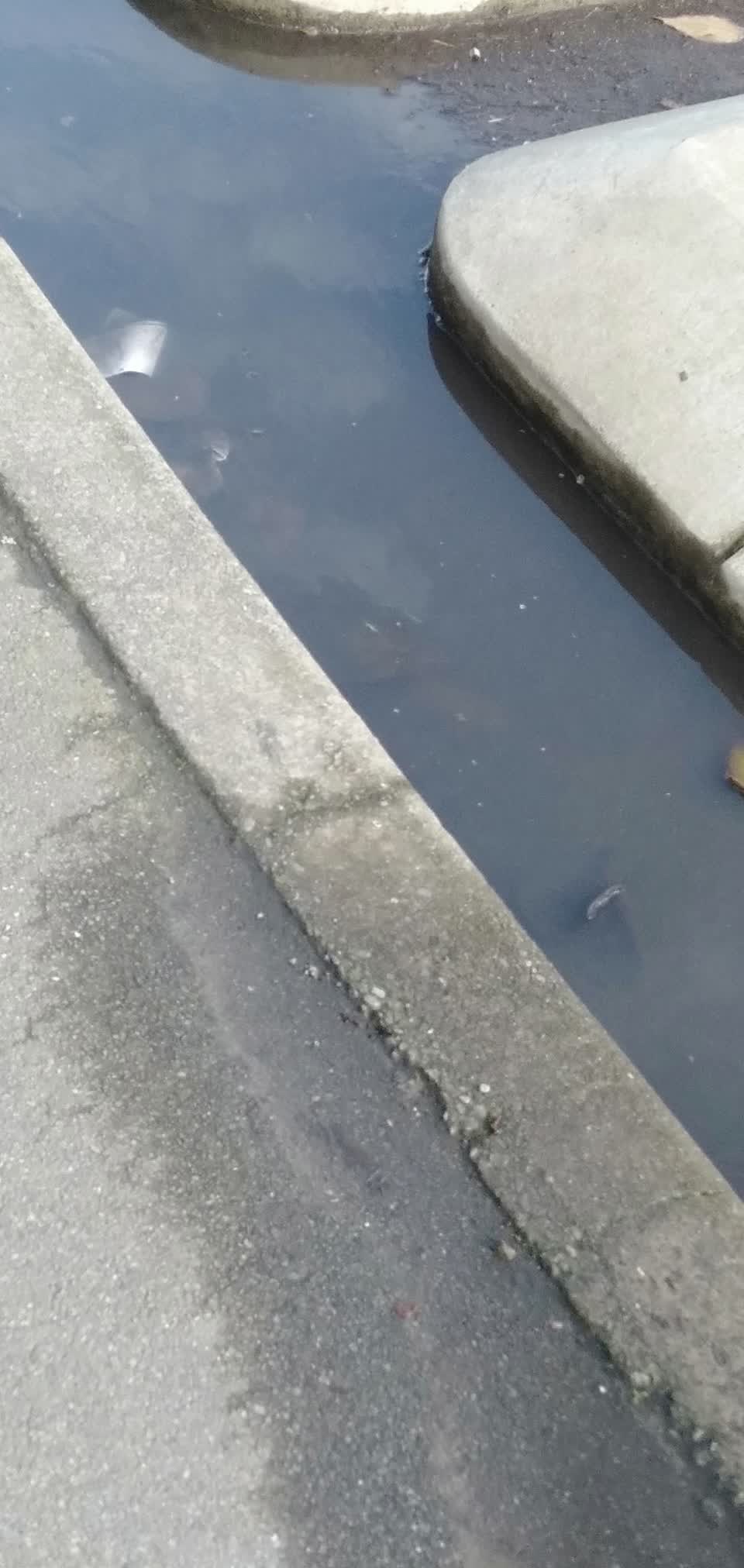 The photograph attached to this wastewater/stormwater report