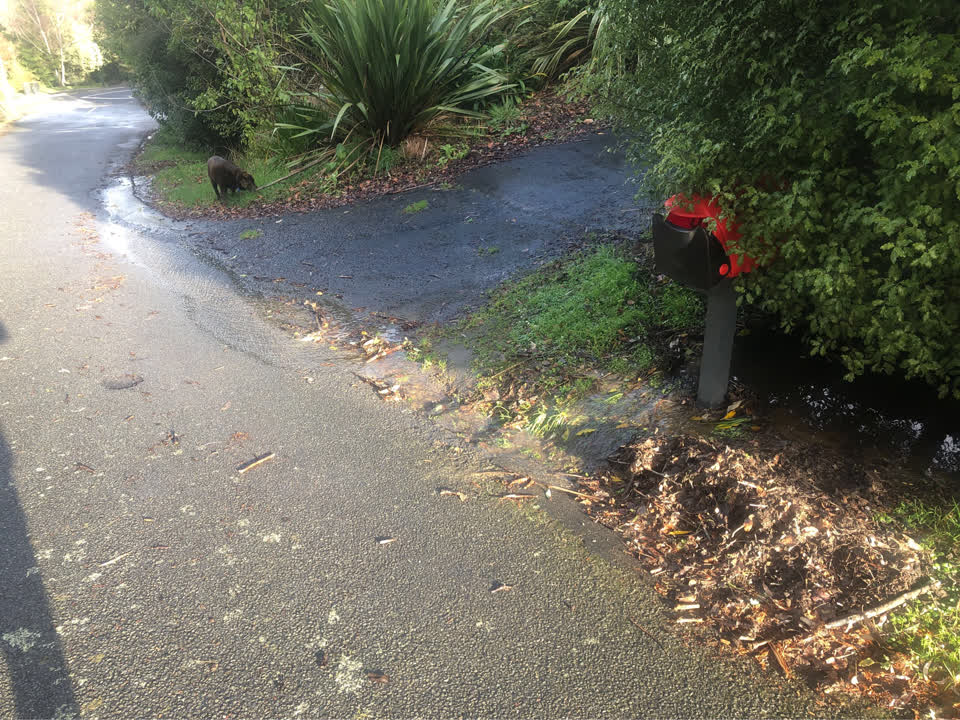 The photograph attached to this flooding report