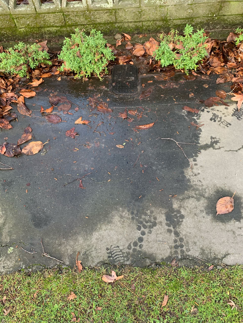 The photograph attached to this water supply report