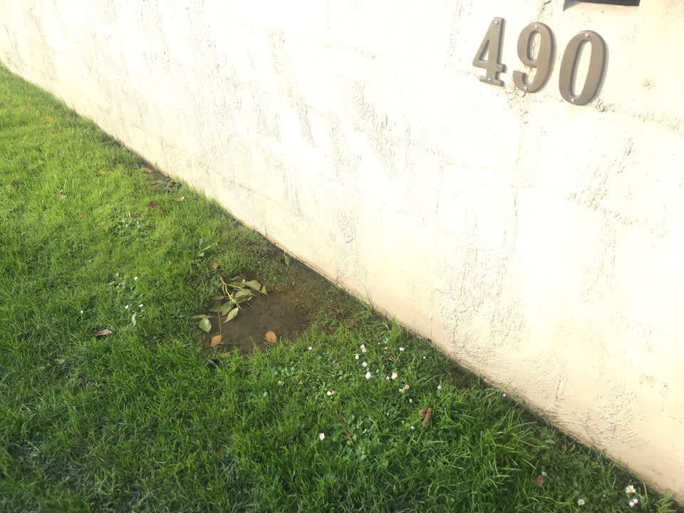 The photograph attached to this water supply report