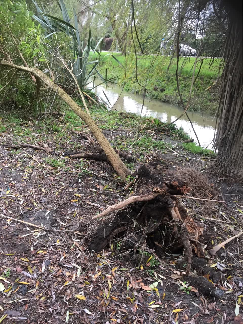 The photograph attached to this parks report