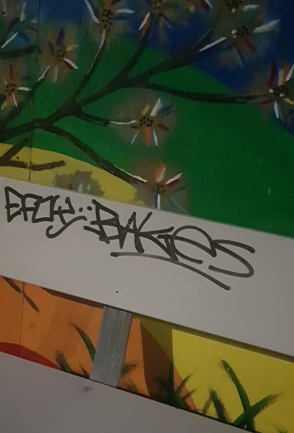The photograph attached to this graffiti report