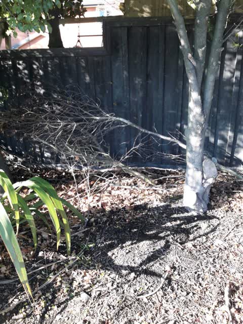 Rubbish/Recycling, a report photo