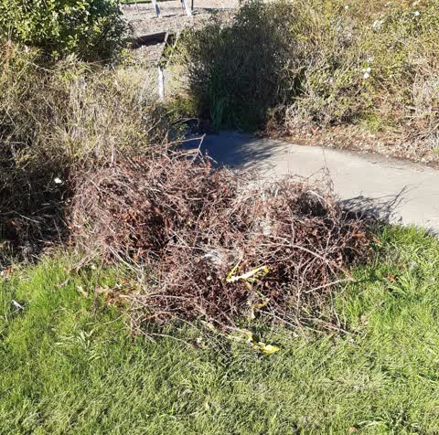 Parks, a report photo
