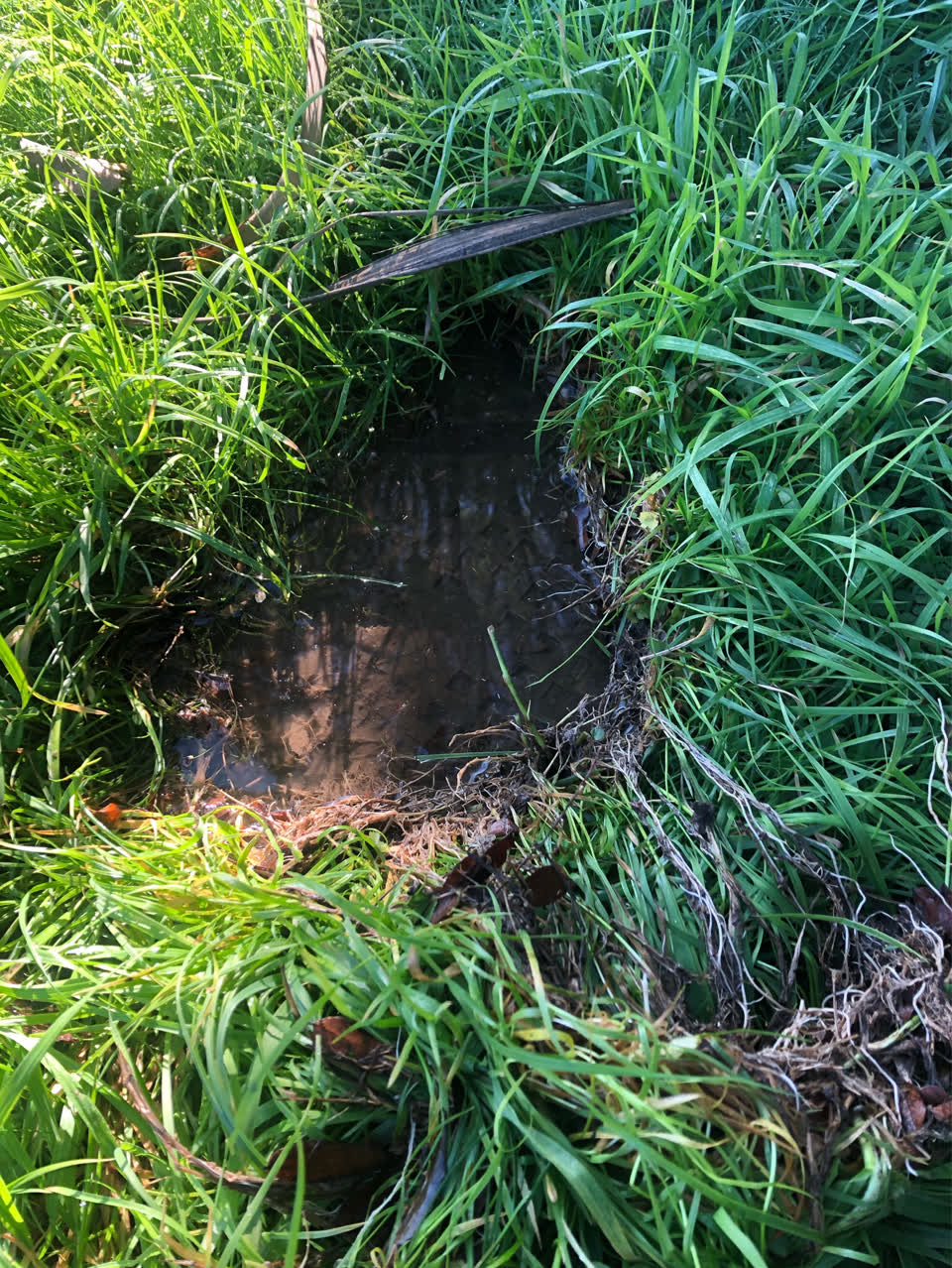 The photograph attached to this water supply report