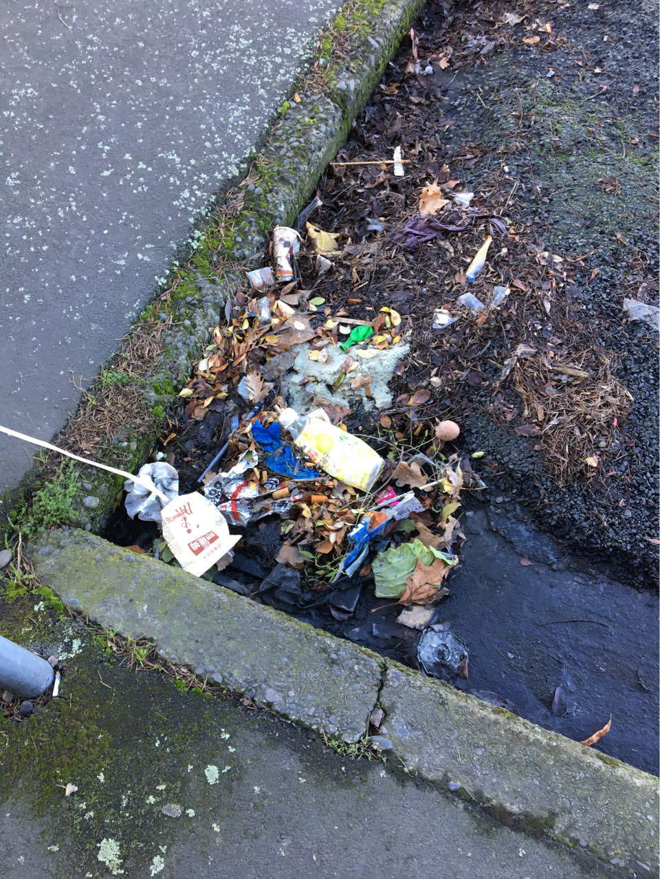 The photograph attached to this wastewater/stormwater report