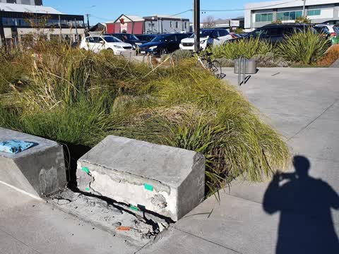 Parks, a report photo