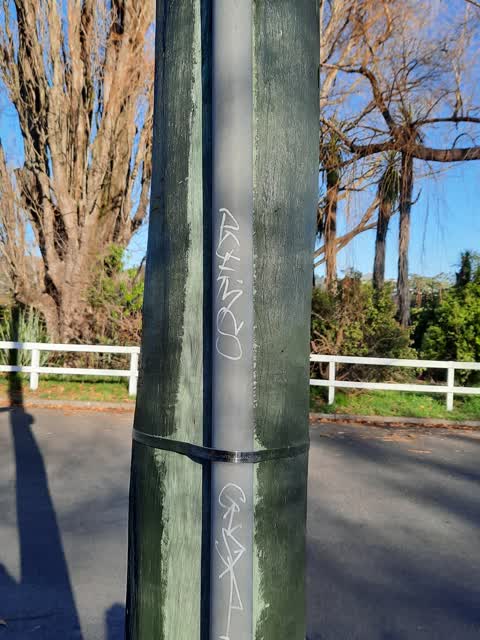 Graffiti, a report photo