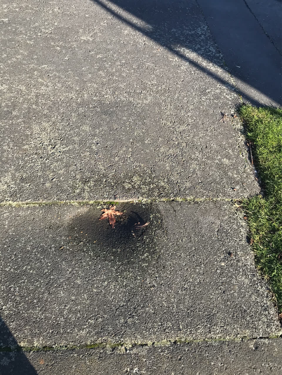 The photograph attached to this parks report