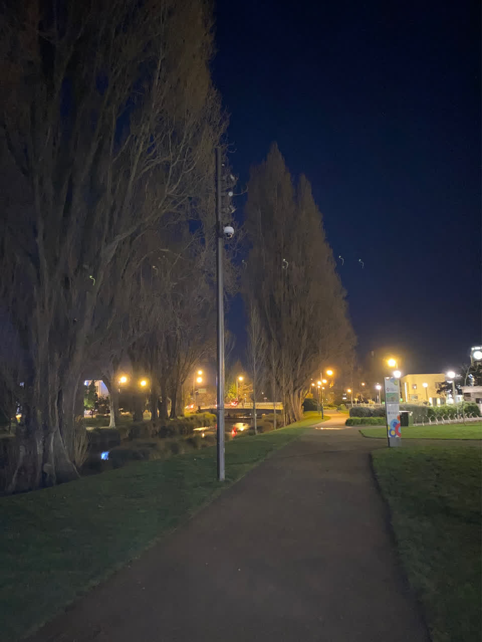 The photograph attached to this parks report