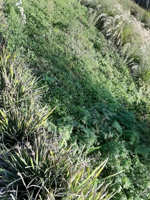 Parks, a report photo