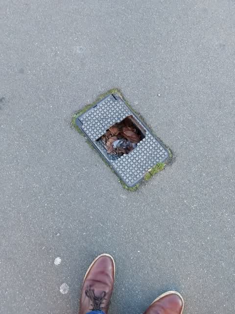 Roading/Streets, a report photo