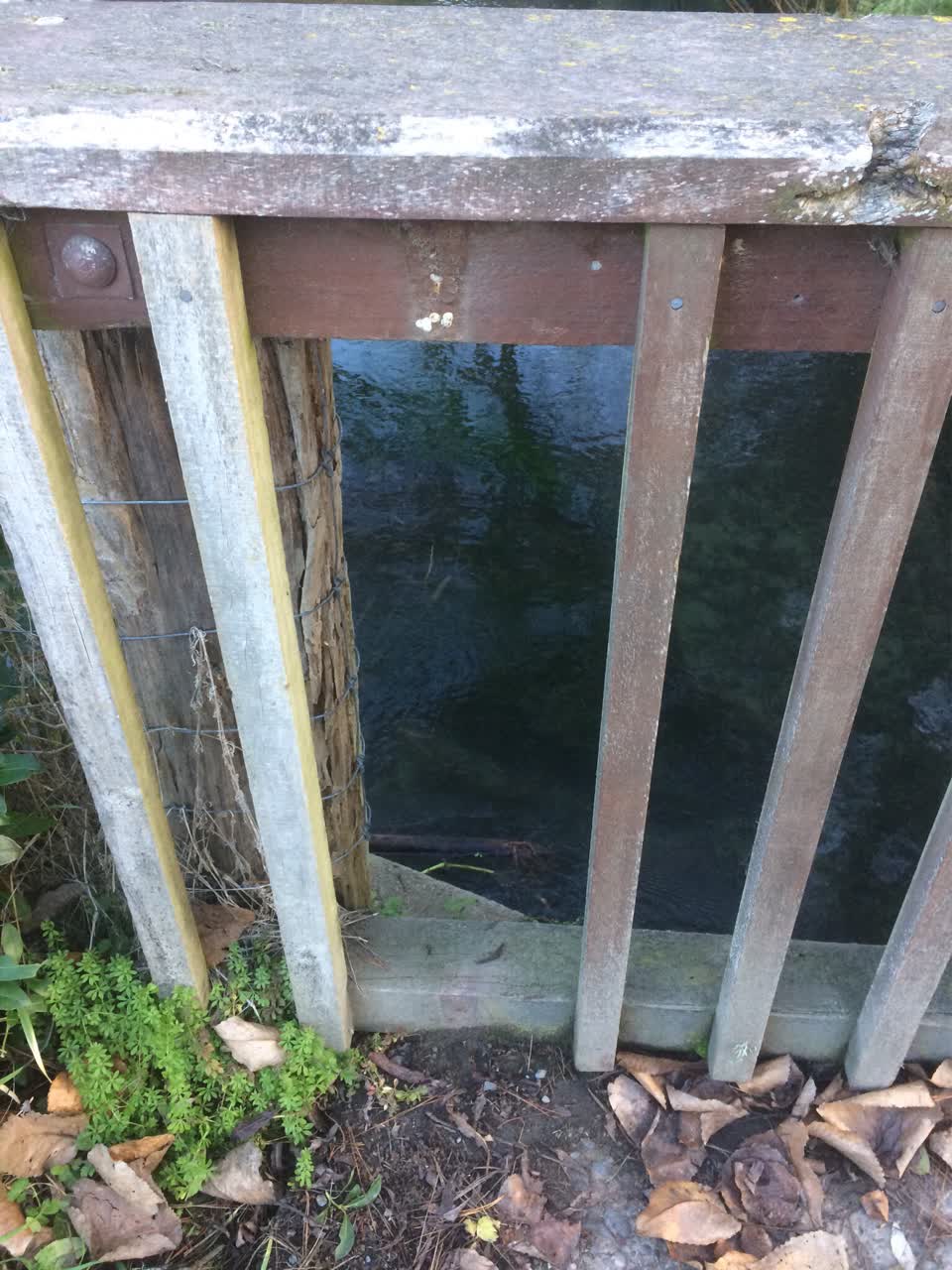 The photograph attached to this parks report