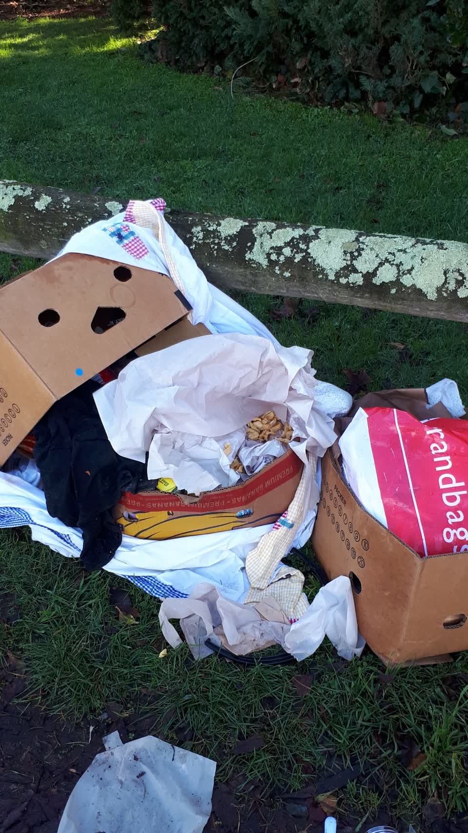 The photograph attached to this rubbish/recycling report