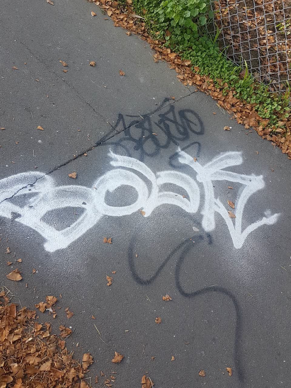 The photograph attached to this graffiti report